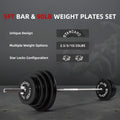 Cast Iron Barbell & Weight Set (90 lb)